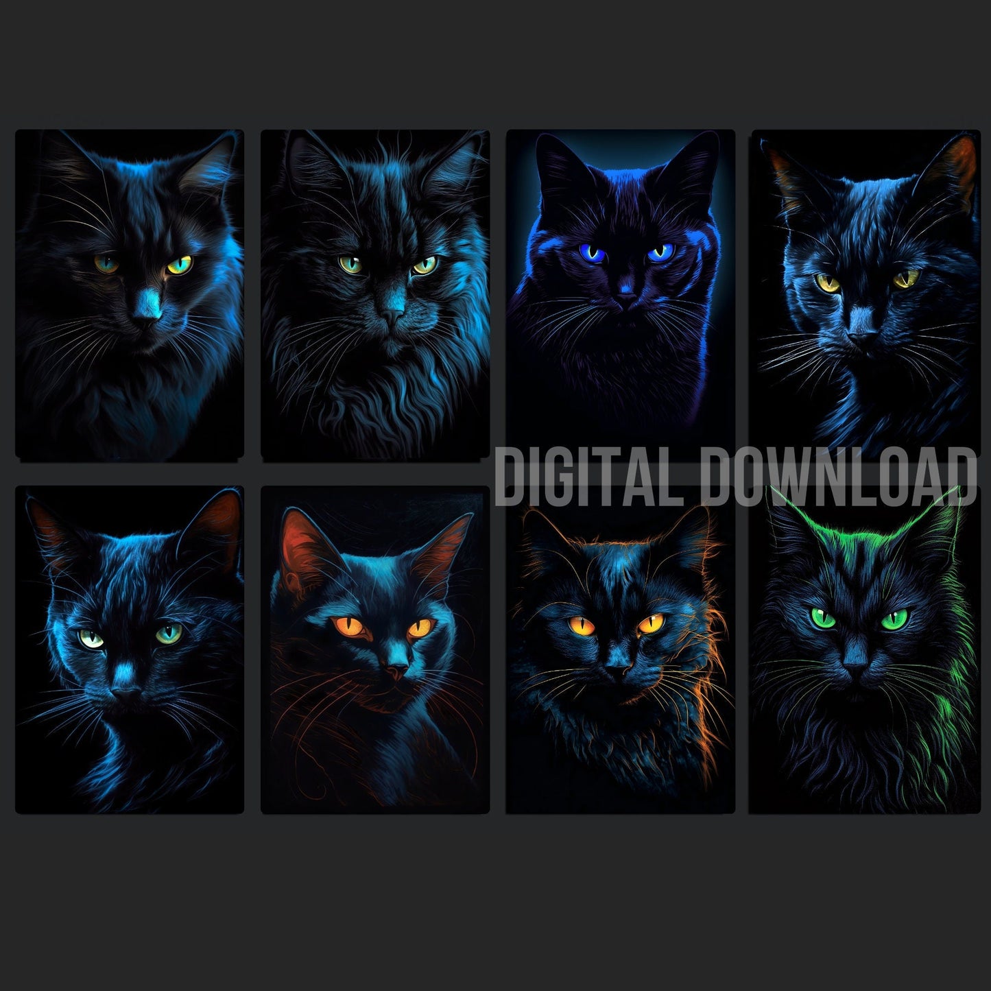 Black Cat Bundle Digital Download Sublimation PNG file - Art World Around You