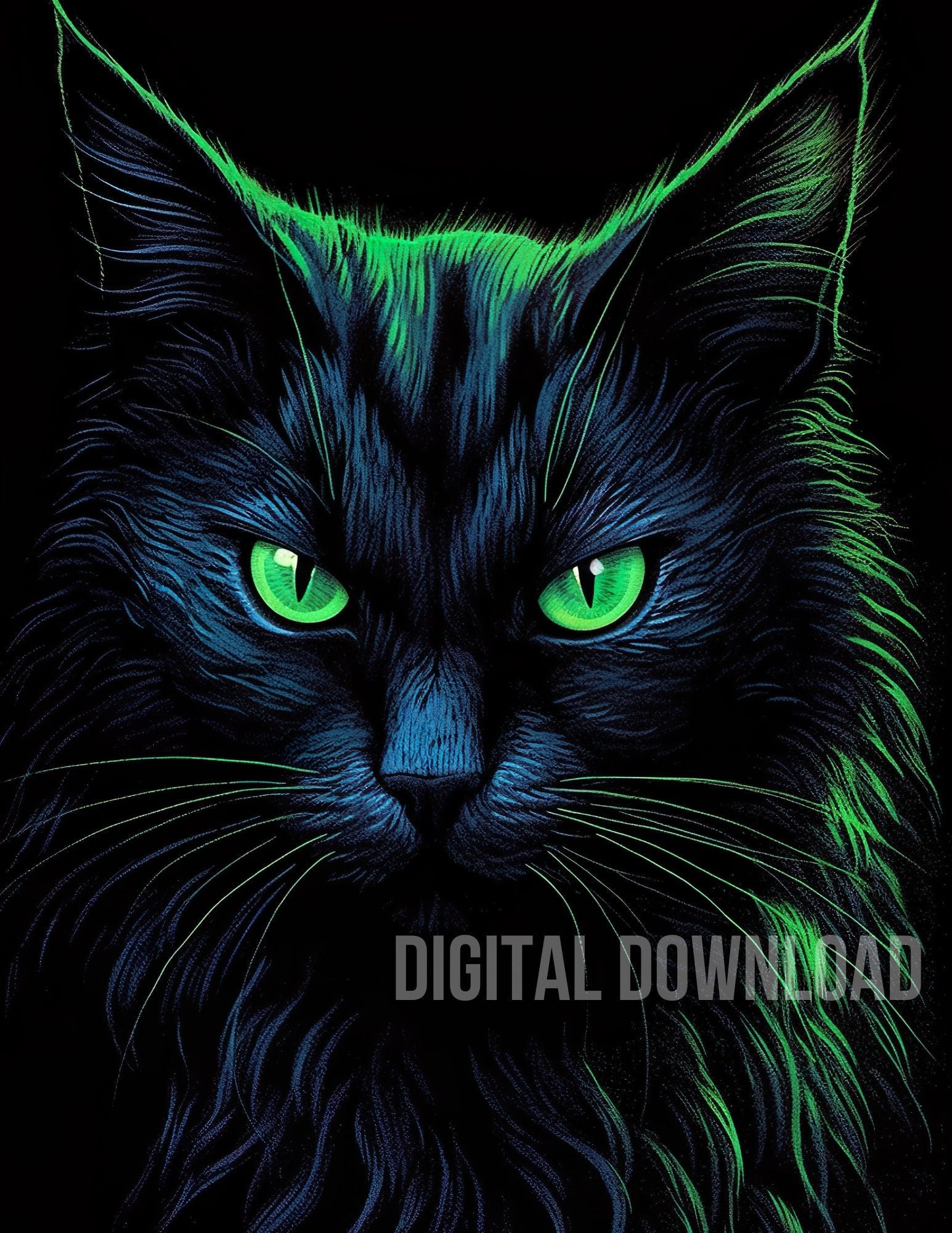 Black Cat Bundle Digital Download Sublimation PNG file - Art World Around You