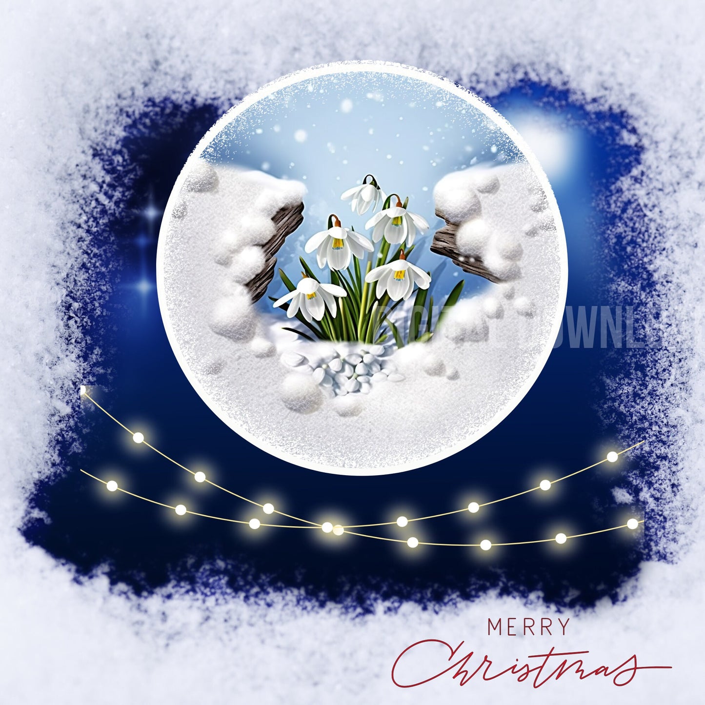 Snowdrops Tumbler Wrap, Snowdrops Mug Wrap, Printing Snowdrops Christmas cards PNG, Christmas Ornament Sublimation PNG