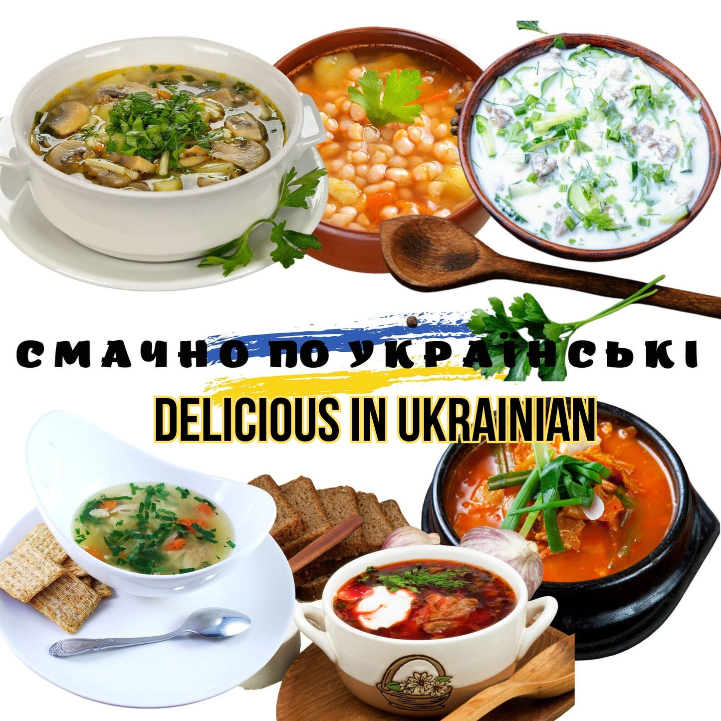 6 Recipes PDF E-Book Ukrainian soup Borscht, Solianka, Mushroom Soup, Okroshka, Chicken Noodle Soup, Bean Soup, Printable Recipe Book