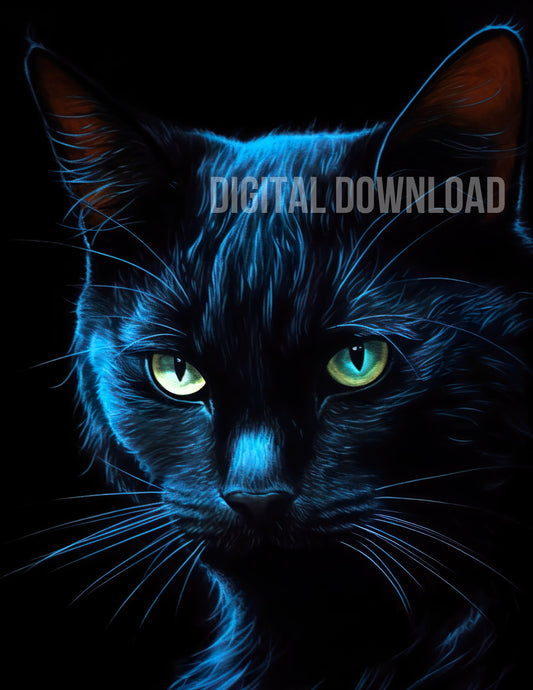 Black Cat Digital Download Sublimation PNG file